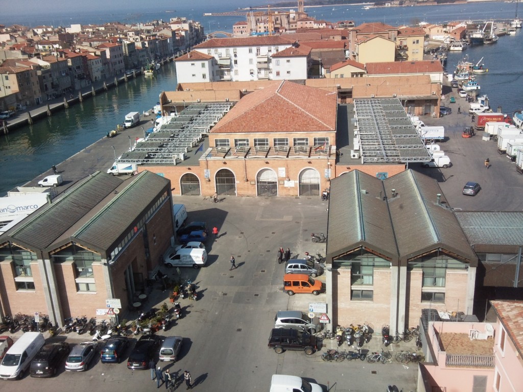 mercato ittico chioggia piazzaweb
