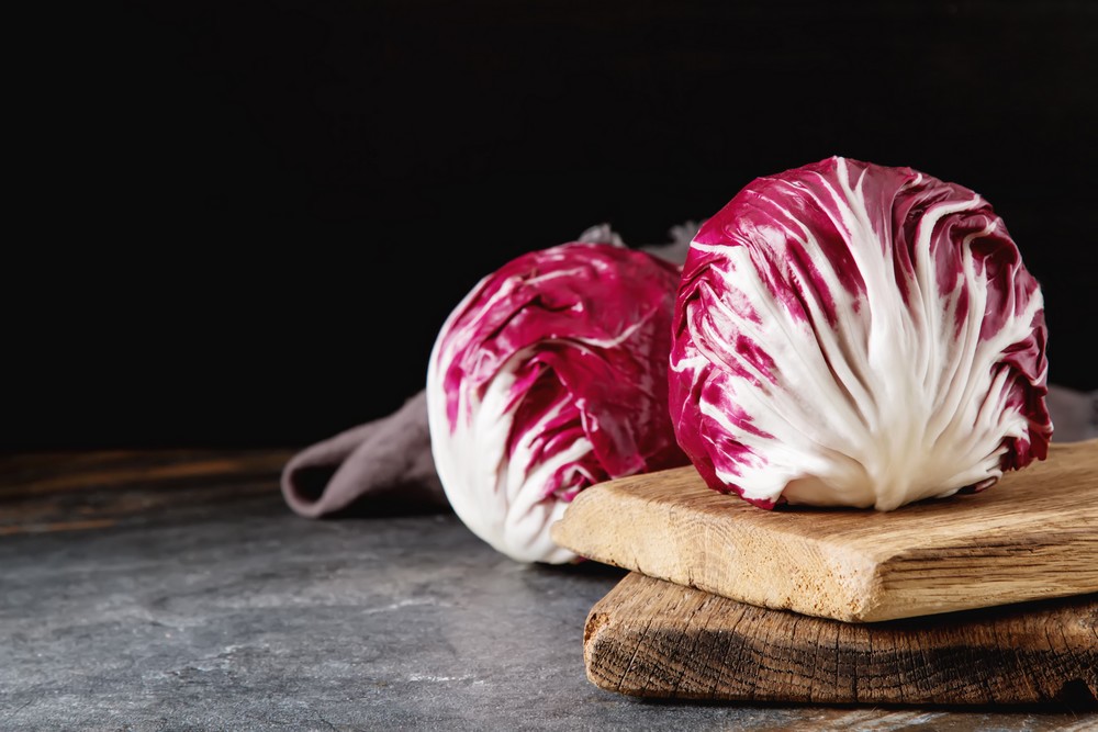 Radicchio on a dark background. Food for a vegan and a vegetarian