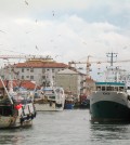 chioggia flotta peschereccia