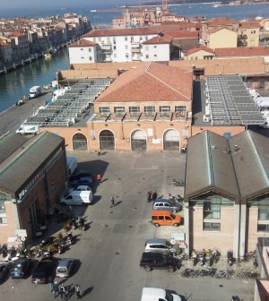 mercato ittico chioggia piazzaweb