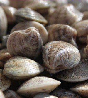 vongole