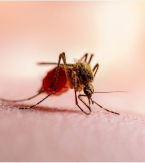 malaria