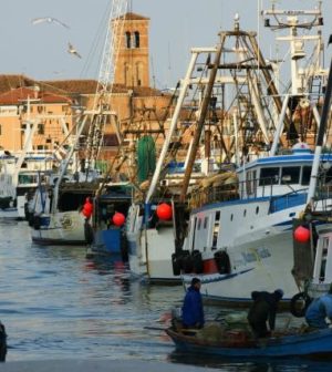 Chioggia