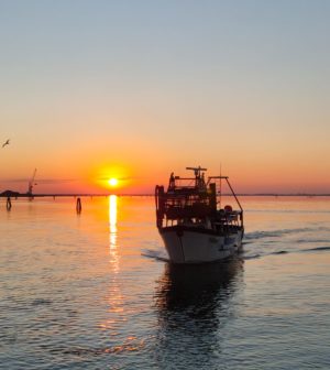 Fasolari Chioggia