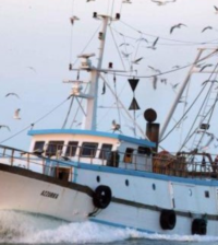 GIORNATA MONDIALE DELLA PESCA 21nov