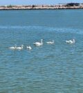 IMG_2194