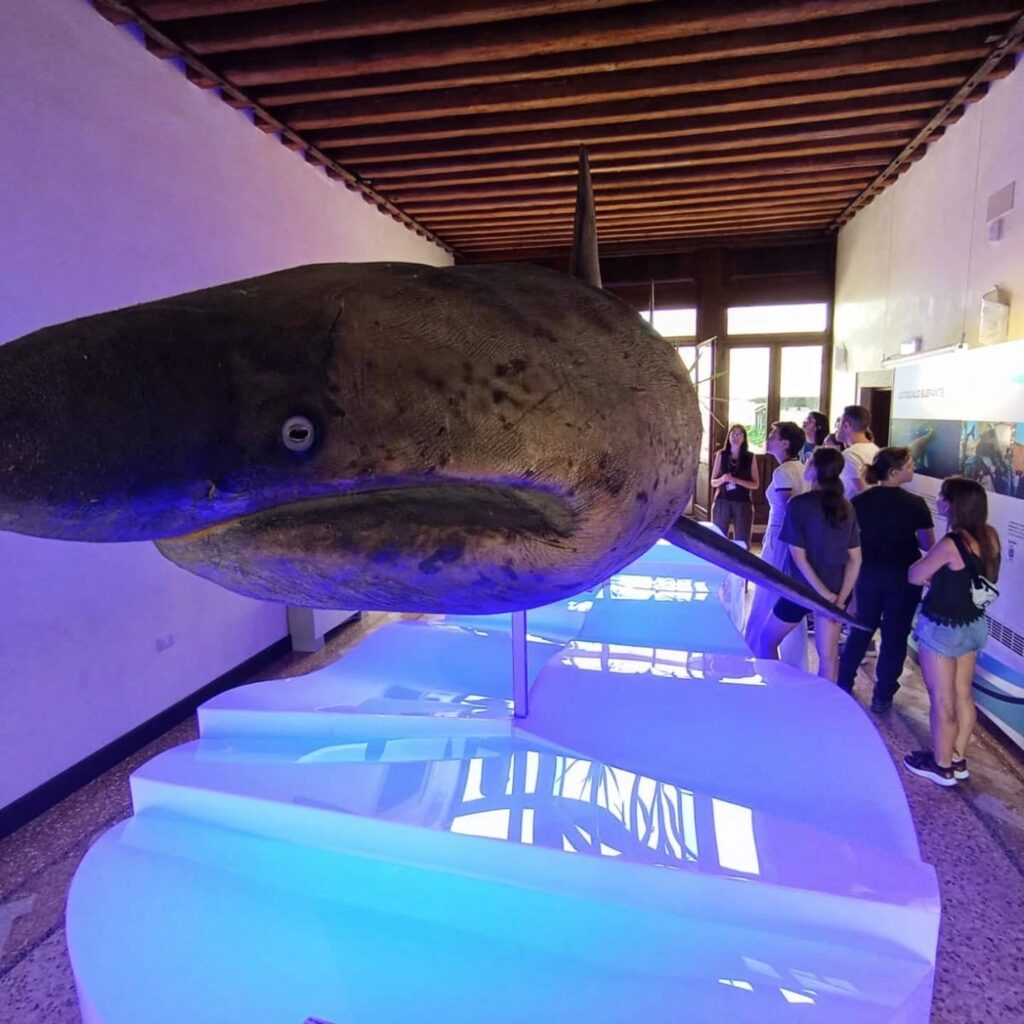 IMG_2350